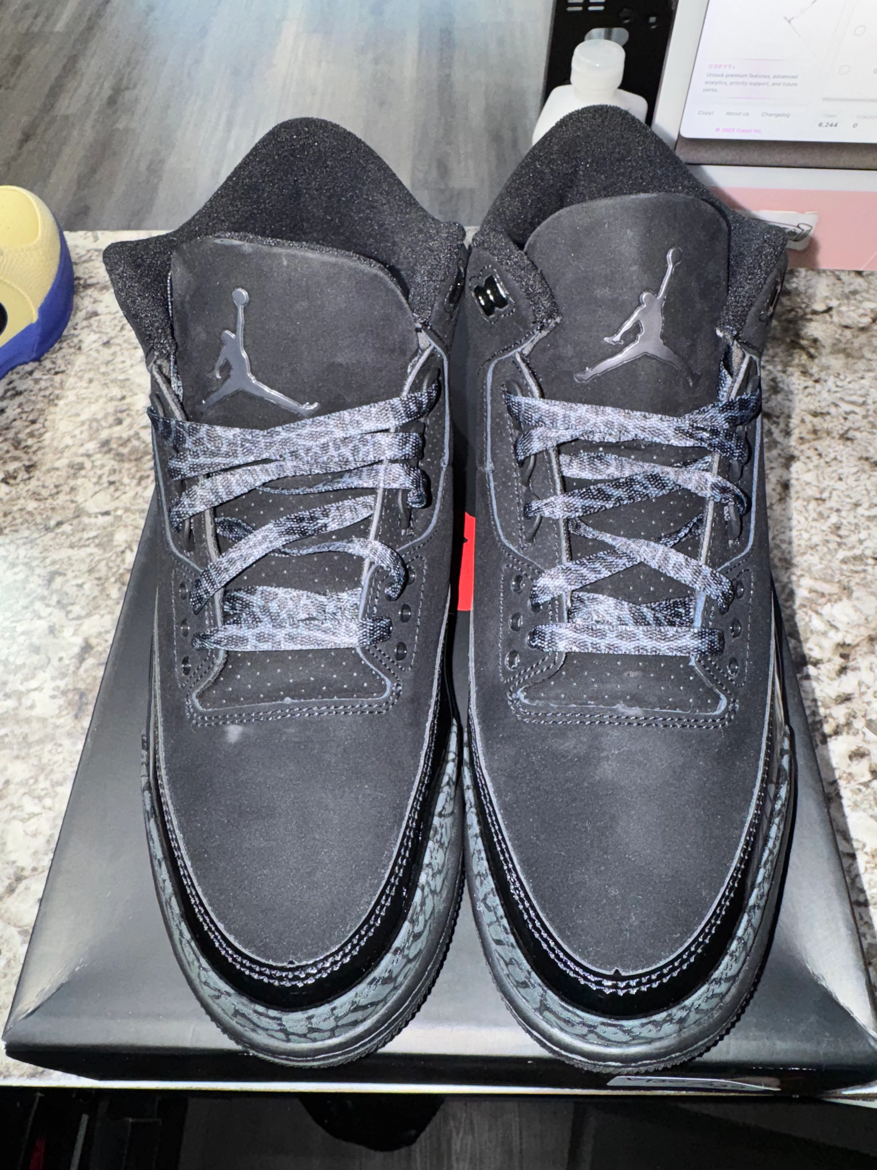 Jordan 3 Retro Black Cat (2025) - Image 4